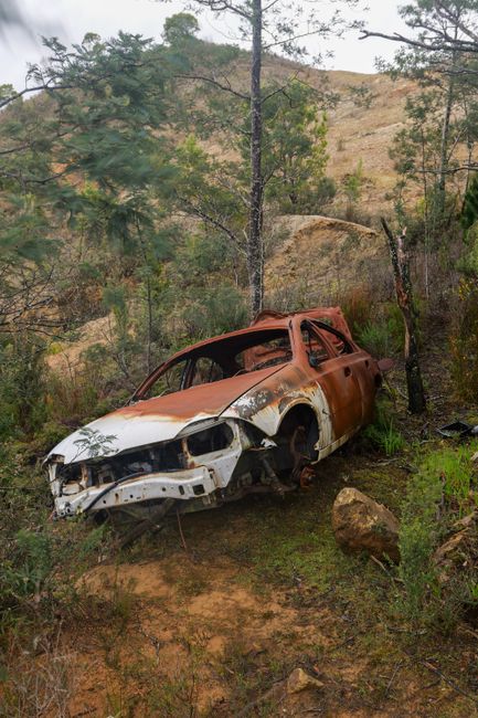 There is no image of flowers or floral arrangements; the image shows a rusted, abandoned car wreck in a natural outdoor setting. The vehicle, partially crushed with visible damage to the front and sid